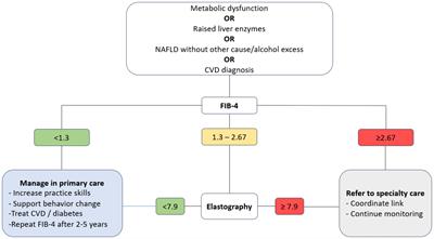 Development and pilot evaluation of an evidence-based algorithm for MASLD (formerly NAFLD) management in primary care in Europe